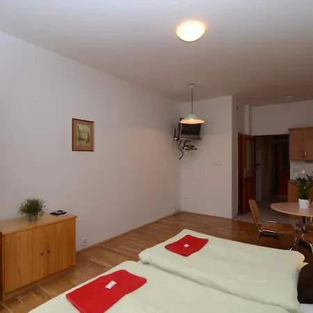 Apartmán Karlin Praha